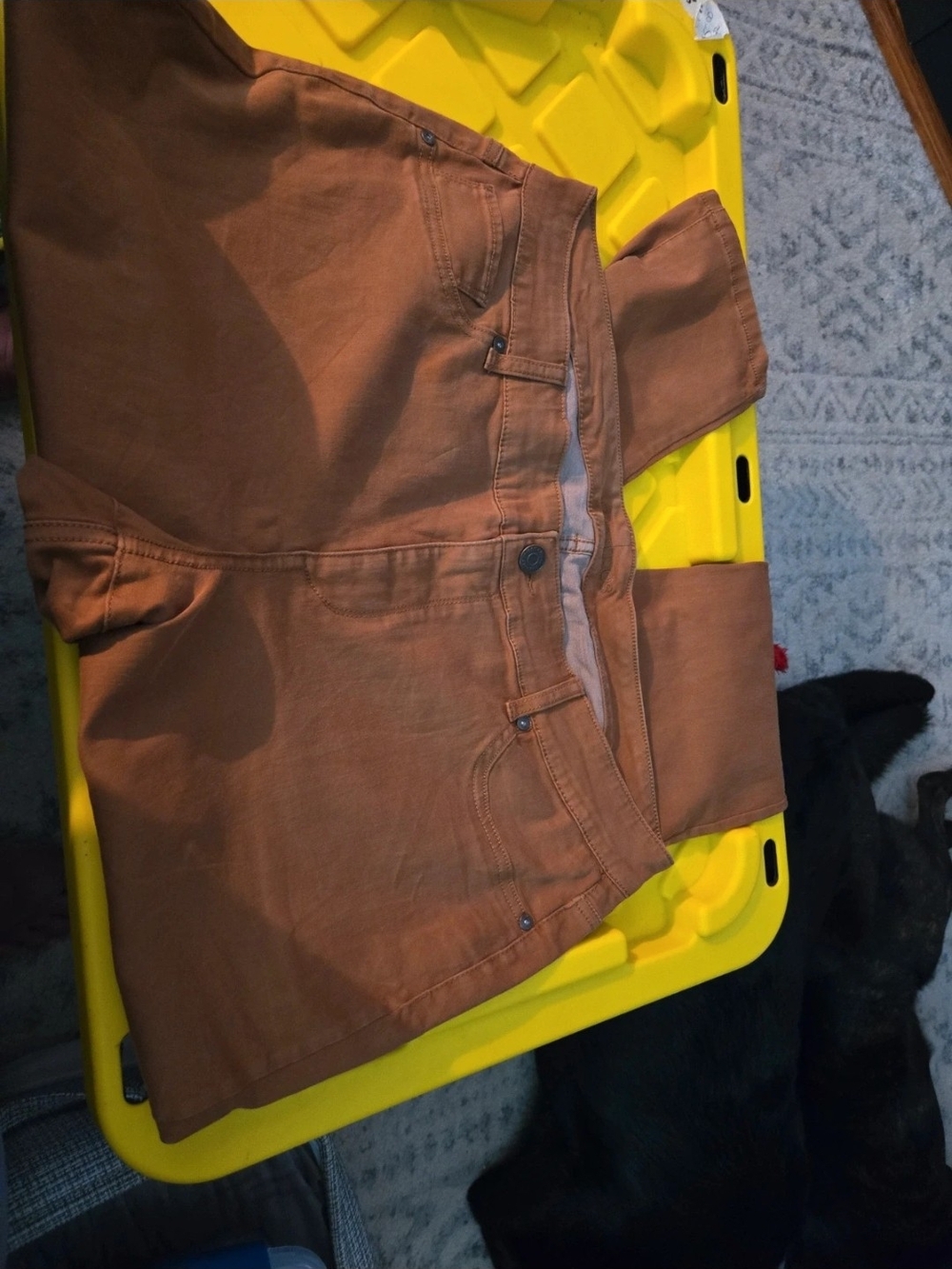 Maurices Brown Jeans